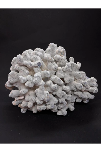 gemsartdeco MAVİ MERCAN ürün görseli