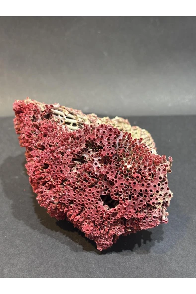 gemsartdeco KIRMIZI MERCAN DOĞALTAŞ - Resim 2