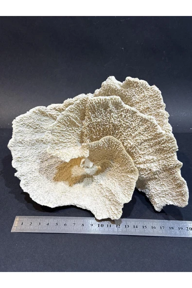 gemsartdeco MERCAN KOLEKSİYON DOĞALTAŞ - Resim 2