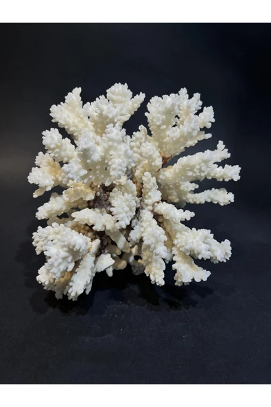 gemsartdeco MERCAN ürün görseli