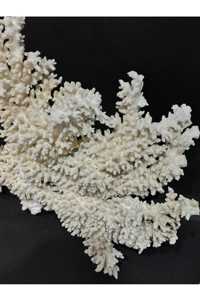 gemsartdeco DAL MERCAN - Resim 4