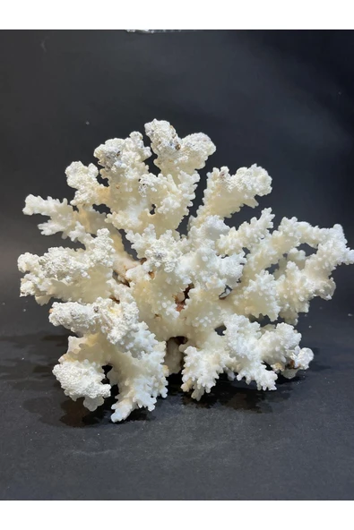 gemsartdeco MERCAN - Resim 3