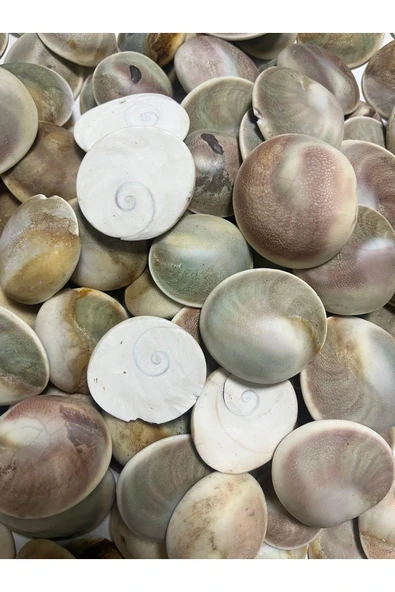 gemsartdeco Büyük Yılancık Doğaltaş - Resim 2