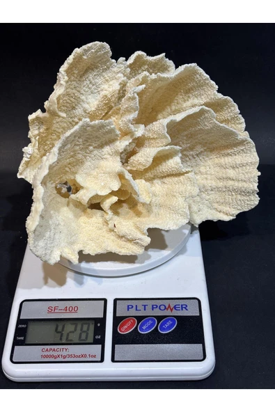 gemsartdeco MERCAN KOLEKSİYON DOĞALTAŞ - Resim 6