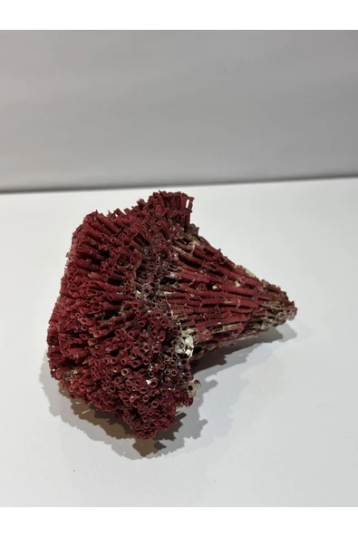 gemsartdeco KIRMIZI MERCAN DOĞALTAŞ - Resim 3