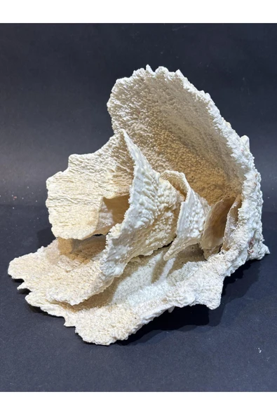 gemsartdeco MERCAN KOLEKSİYON DOĞALTAŞ - Resim 4