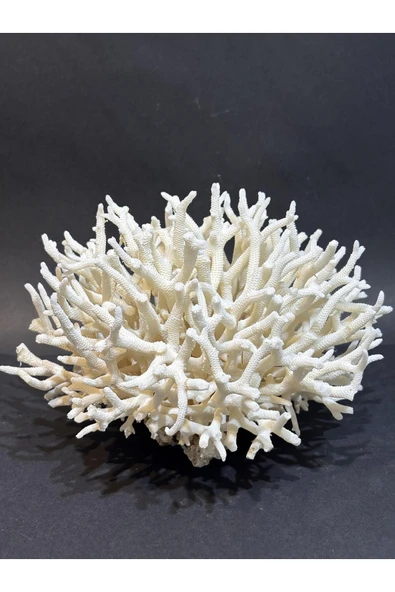 gemsartdeco İNCE DAL MERCAN - Resim 2