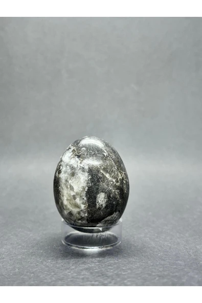 gemsartdeco BELEMNİT FOSİLLİ YUMURTA DOĞALTAŞ - Resim 6