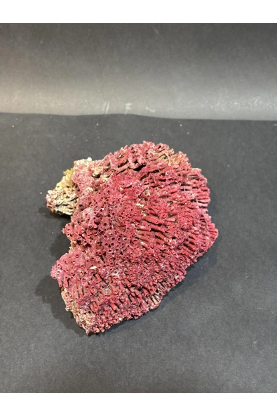 gemsartdeco KIRMIZI MERCAN DOĞALTAŞ - Resim 4