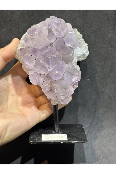 gemsartdeco BREZİLYA AMETİST DOĞALTAŞ SİYAH DEMİR STANTLI - Resim 3