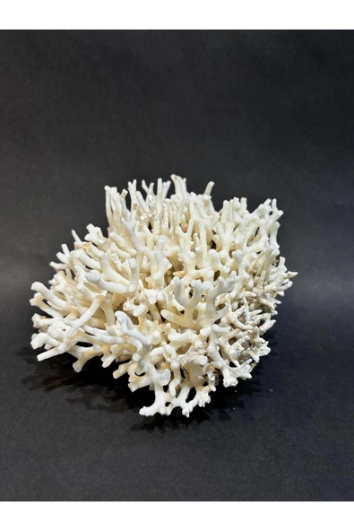 gemsartdeco İNCE DAL MERCAN - Resim 3