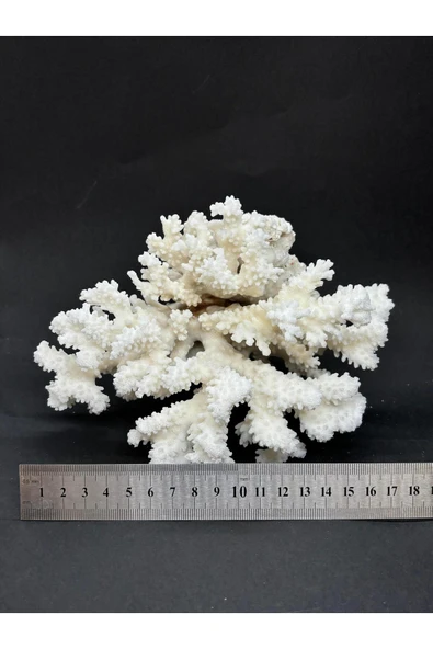 gemsartdeco MERCAN - Resim 5