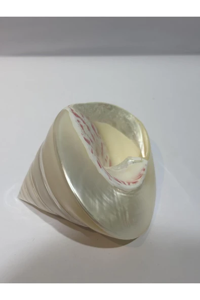 gemsartdeco TROCA KABUK - Resim 4