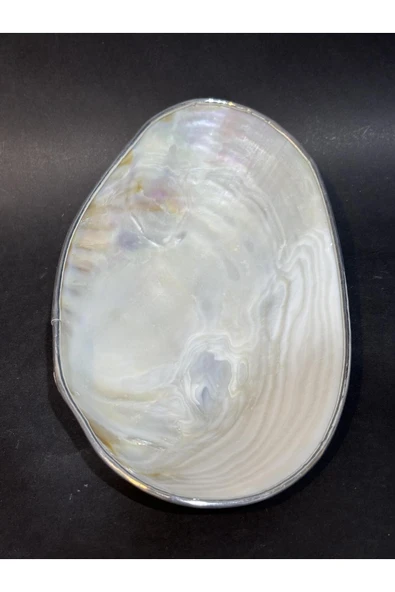 gemsartdeco KABUK XXL GÜMÜŞ ÇERÇEVELİ - Resim 2