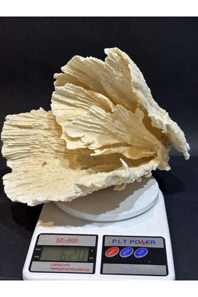 gemsartdeco MERCAN KOLEKSİYON DOĞALTAŞ ürün görseli 1