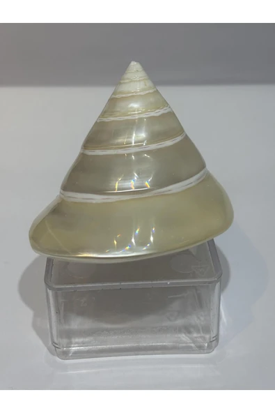 gemsartdeco TROCA KABUK - Resim 6