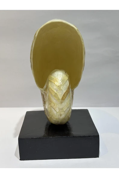 gemsartdeco NATİLUS KOLEKSİYON KABUK STANTLI - Resim 2