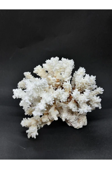 gemsartdeco MERCAN - Resim 2