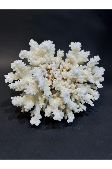 gemsartdeco MERCAN ürün görseli