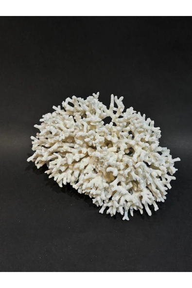 gemsartdeco İNCE DAL MERCAN - Resim 2