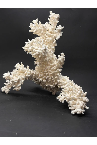 gemsartdeco DAL MERCAN - Resim 4