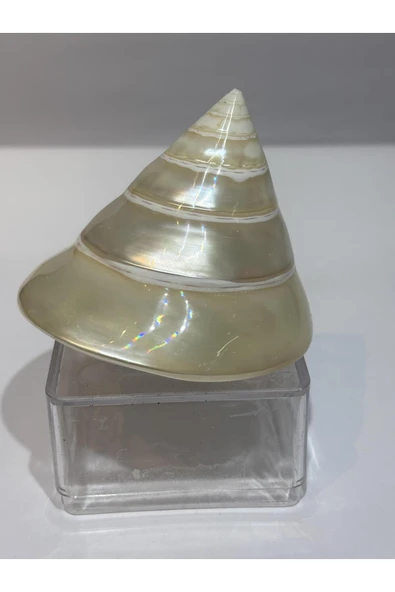 gemsartdeco TROCA KABUK - Resim 7