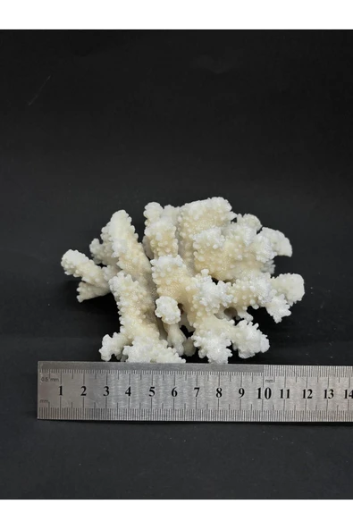 gemsartdeco MERCAN - Resim 4