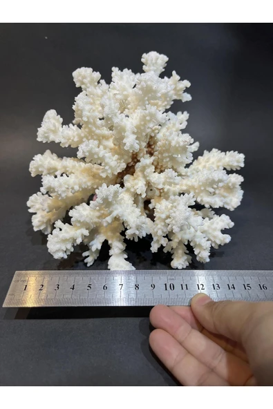 gemsartdeco MERCAN - Resim 5