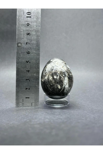 gemsartdeco BELEMNİT FOSİLLİ YUMURTA DOĞALTAŞ - Resim 5