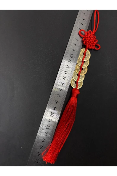 gemsartdeco Şans ve Fengshui Para Mıknatısı - Resim 4