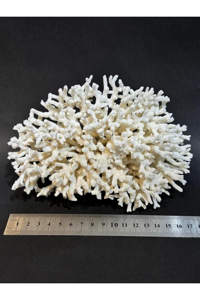 gemsartdeco İNCE DAL MERCAN - Resim 4