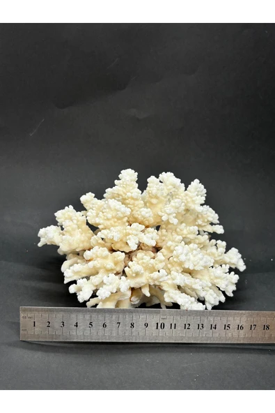 gemsartdeco MERCAN - Resim 5