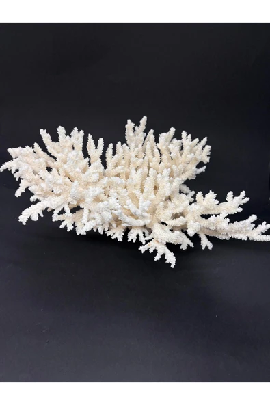 gemsartdeco İNCE DAL MERCAN CORAL CLUSTER - Resim 2