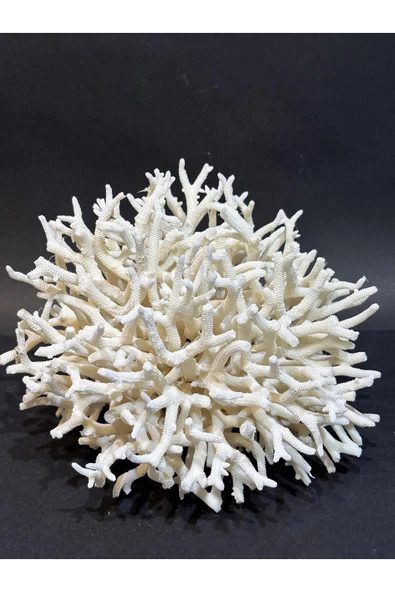 gemsartdeco İNCE DAL MERCAN - Resim 4