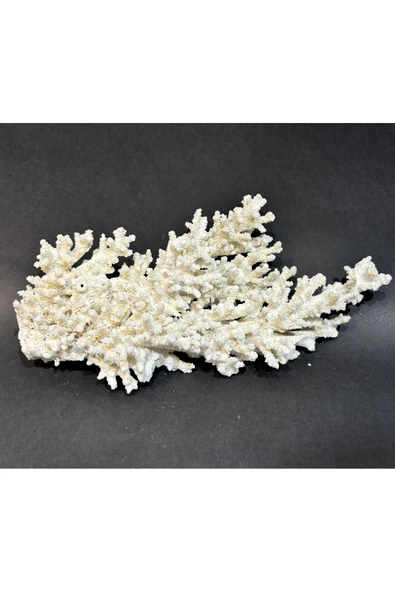 gemsartdeco DAL MERCAN ürün görseli 1