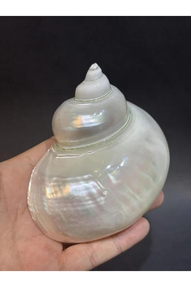 gemsartdeco Turbo Burges Kabuk ürün görseli 1