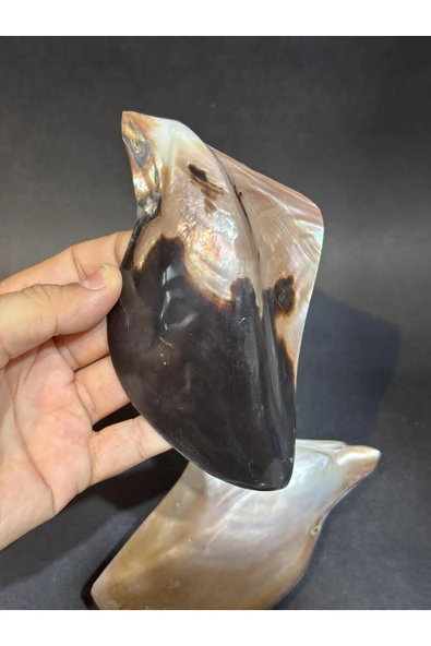 gemsartdeco Brown Lip Kabuk - Resim 3