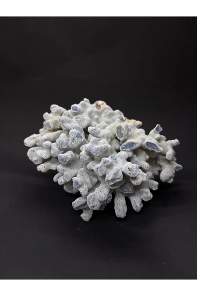 gemsartdeco MAVİ MERCAN - Resim 2