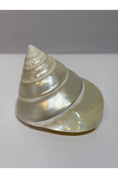 gemsartdeco TROCA KABUK ürün görseli