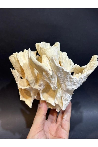 gemsartdeco MERCAN KOLEKSİYON DOĞALTAŞ ürün görseli 1