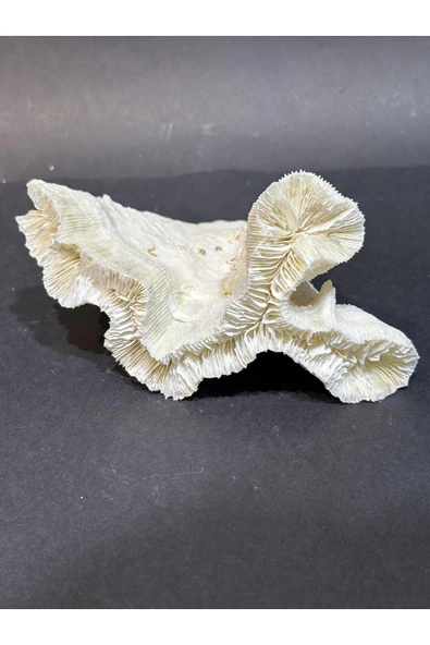 gemsartdeco BEYİN MERCAN - Resim 4