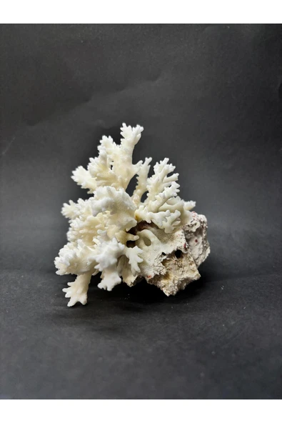 gemsartdeco MERCAN - Resim 3