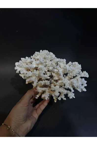 gemsartdeco MERCAN - Resim 6