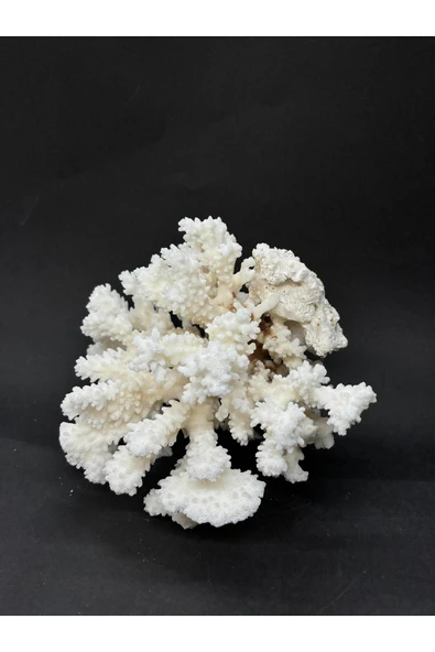 gemsartdeco MERCAN - Resim 3