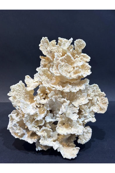 gemsartdeco MERCAN KOLEKSİYON DOĞALTAŞ - Resim 2