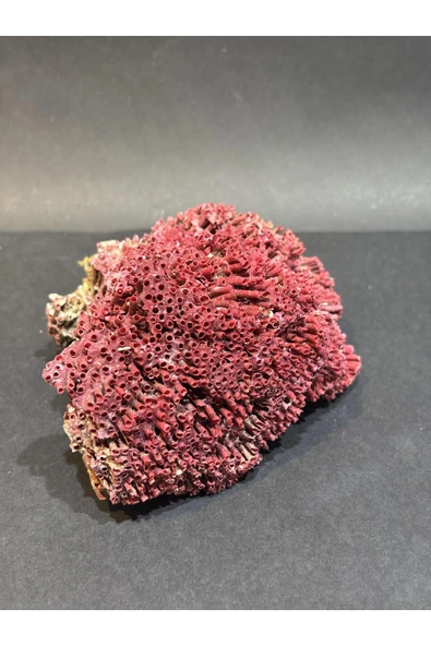 gemsartdeco KIRMIZI MERCAN DOĞALTAŞ - Resim 3