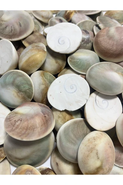 gemsartdeco Büyük Yılancık Doğaltaş ürün görseli