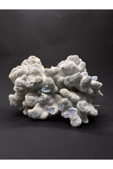 gemsartdeco MAVİ MERCAN - Resim 2