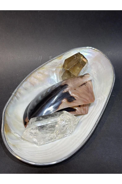 gemsartdeco KABUK XXL GÜMÜŞ ÇERÇEVELİ - Resim 7