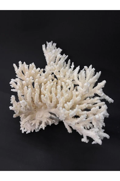 gemsartdeco İNCE DAL MERCAN CORAL CLUSTER - Resim 7